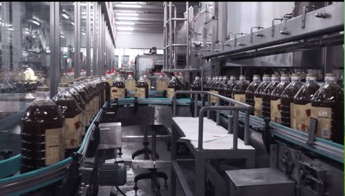 云賞金龍魚蝦田稻，共憶香韻外婆情